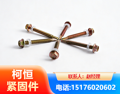 襄阳六角钻尾丝